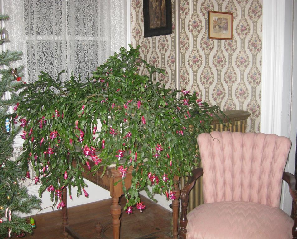 The Bridges Inn At Whitcomb House B&B Swanzey Zewnętrze zdjęcie
